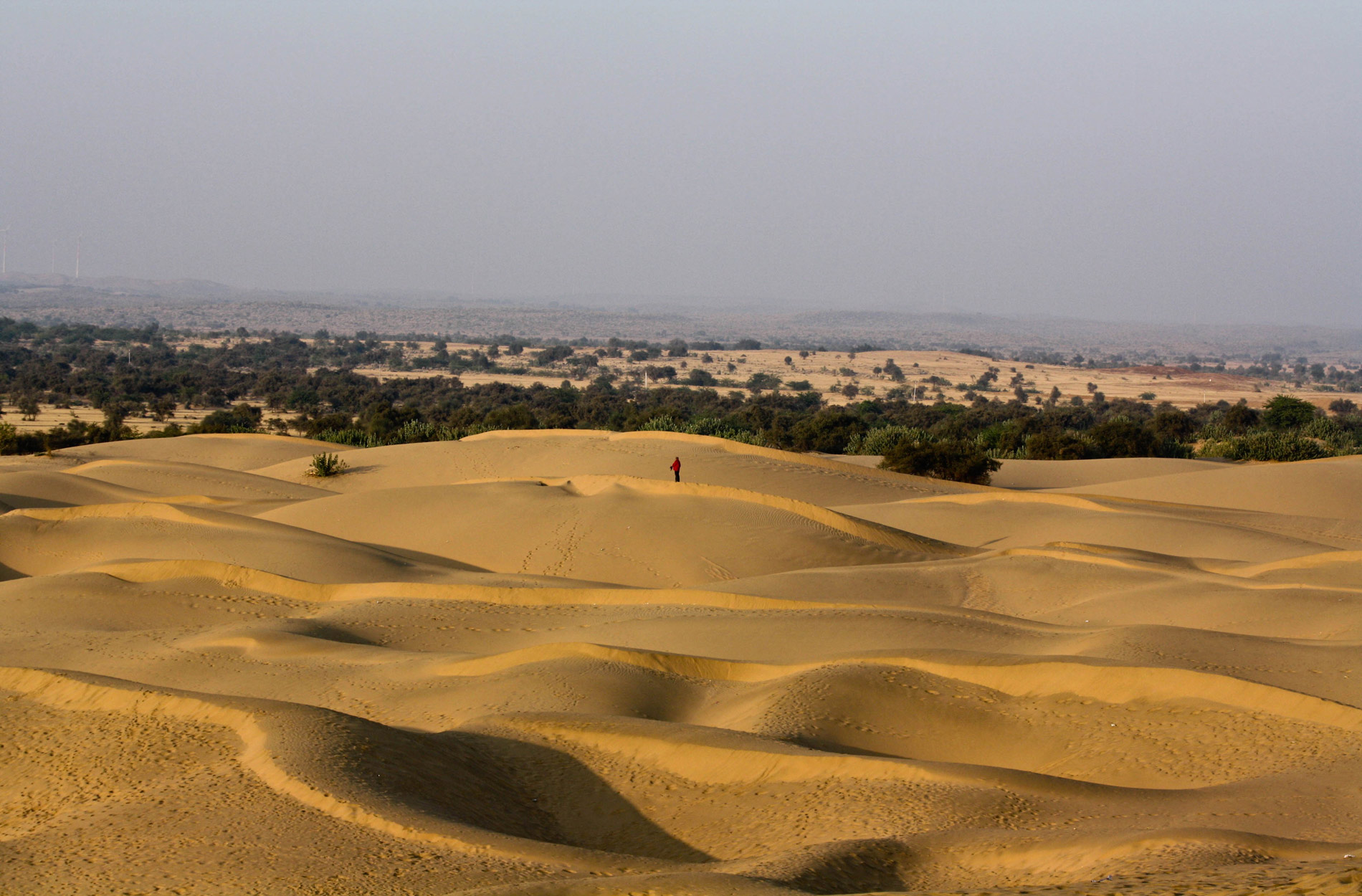 thar-desert-india