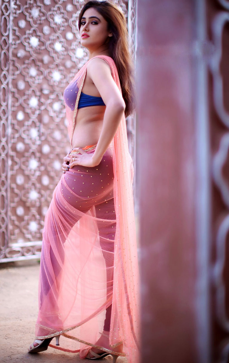 sony-charista-hot-saree