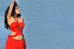 taapsee-pannu-sexy-image