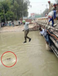 Punjab Police DSP jumping into Sirhind Canal to save a drowning woman.