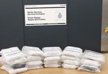 Cocaine seized from Kuldeep Singh