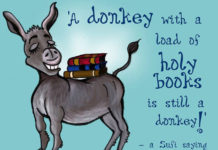 donkey wisdom