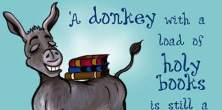 donkey wisdom