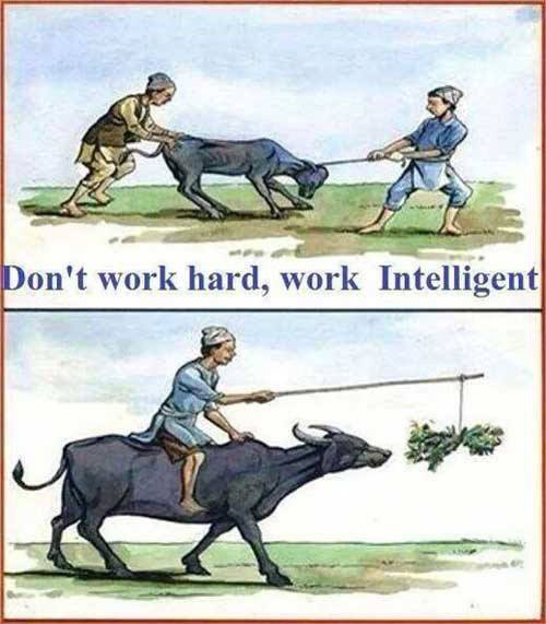 work smart-not-harder