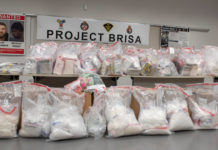 Project brisa Canada drug rackets