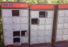 Brampton mailbox thefts