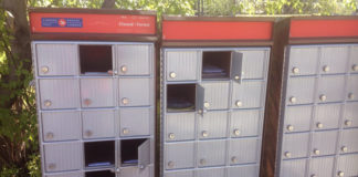 Brampton mailbox thefts