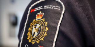 Canada immigration fraud crackdown